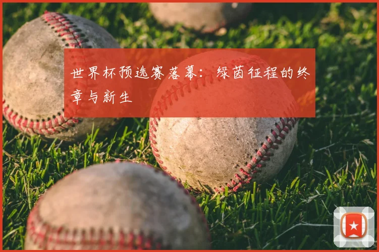 世界杯预选赛落幕:绿茵征程的终章与新生