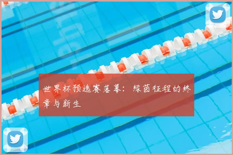 世界杯预选赛落幕:绿茵征程的终章与新生