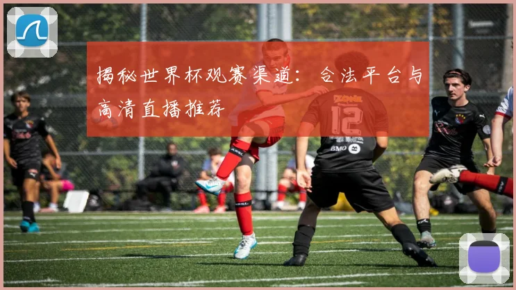 揭秘世界杯观赛渠道：合法平台与高清直播推荐