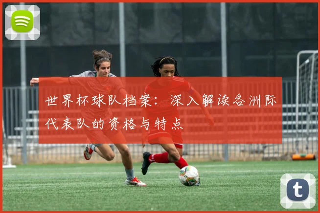 世界杯球队档案：深入解读各洲际代表队的资格与特点