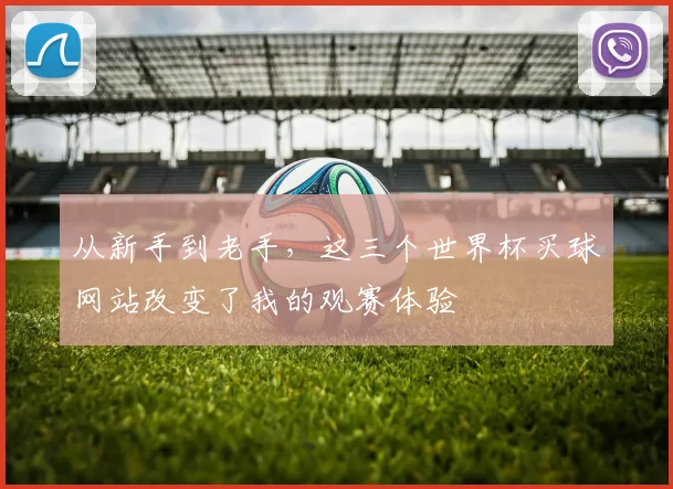 从新手到老手，这三个世界杯买球网站改变了我的观赛体验
