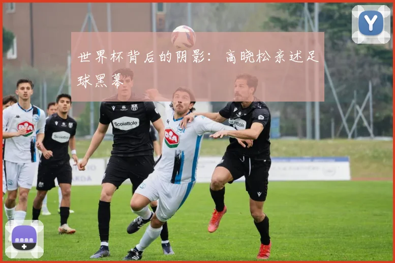 世界杯背后的阴影：高晓松亲述足球黑幕