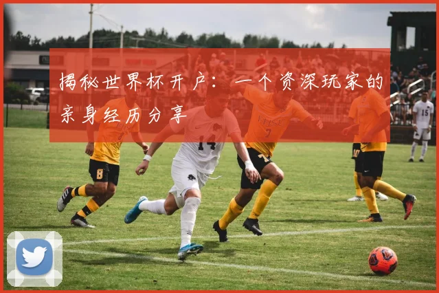 揭秘世界杯开户：一个资深玩家的亲身经历分享