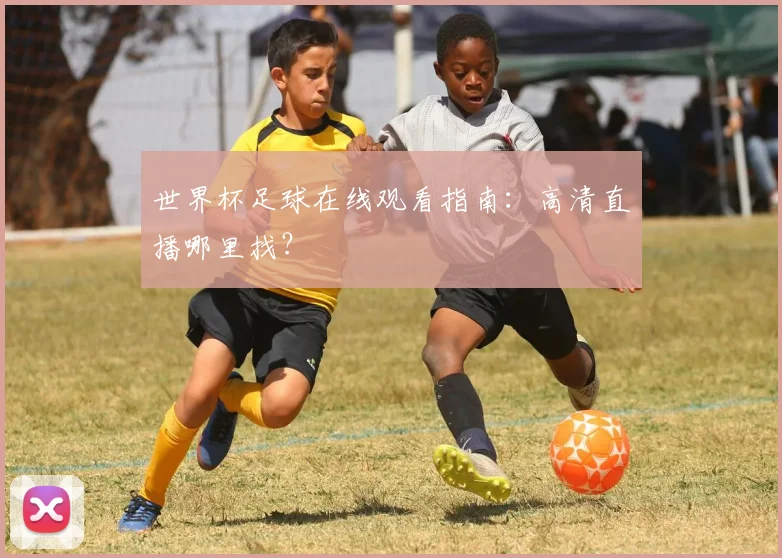 世界杯足球在线观看指南：高清直播哪里找？