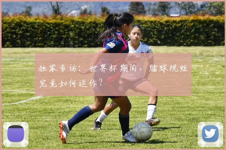 独家专访：世界杯期间，赌球规矩究竟如何运作？